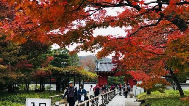 日本大阪+京都+伏見稻荷大社一日遊/行程可調-可定制多日