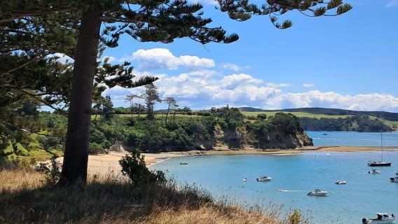 Auckland: billete de ferry a la isla Motuihe