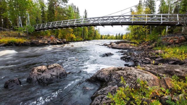 Rovaniemi: Sentiero escursionistico del Circolo Polare Artico di Vaattunki