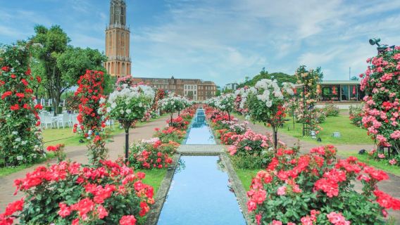 福岡発｜ハウステンボス日帰りツアー｜(往復バス付)