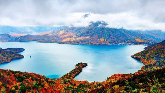 NikkoTours