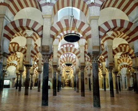 Mosquée Cathédrale visite guidée en petit groupe en français