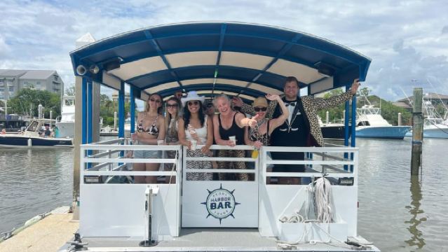 Charleston: Harbor Bar Pedal Boat Party Cruise