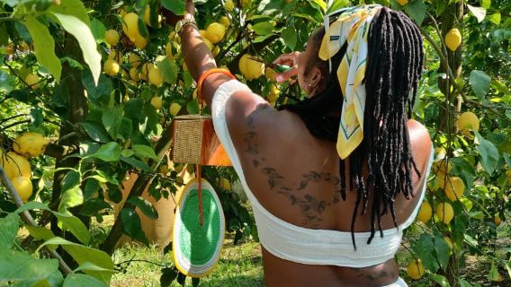Sorrento: Tour del Limón con Degustación de Limoncello