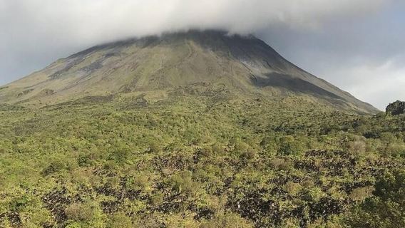 Halbtagestour mit Hängebrücken und La Fortuna-Wasserfall