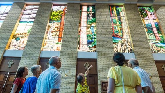 Entdecken Sie Cairns: Cairns River Cruise & City Sights Tour