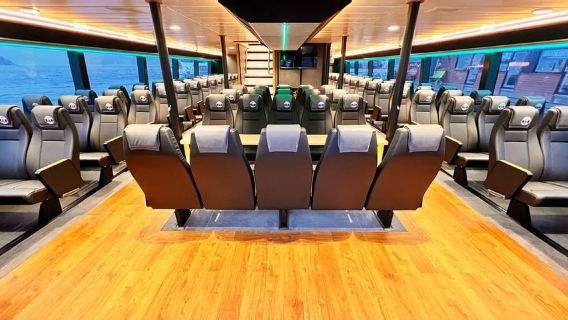 Tromsø: Whale Watching - fast and comfortable catamaran