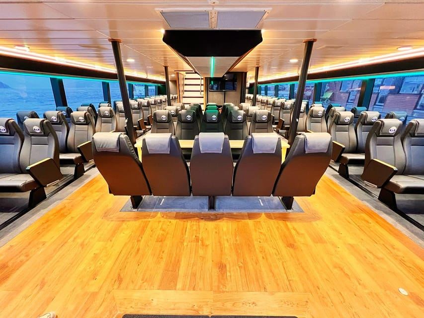 Tromsø: Whale Watching - fast and comfortable catamaran