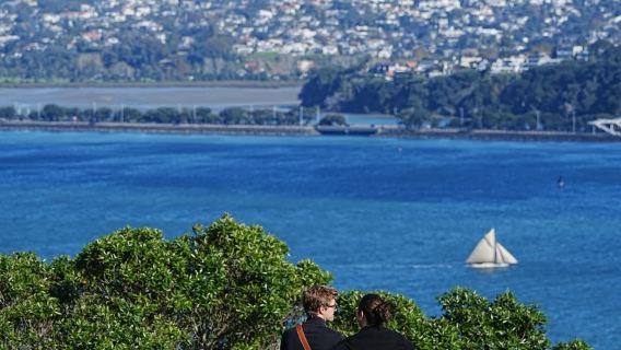 新西蘭奧克蘭市區網紅景點鳥島黑沙灘達文波特-包車-精選行程
