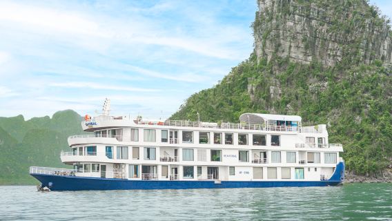 Crociera Sea Coral: 2 giorni 1 notte Baia di Halong e Lan Ha Bay [pasti, kayak, pesca al calamaro]