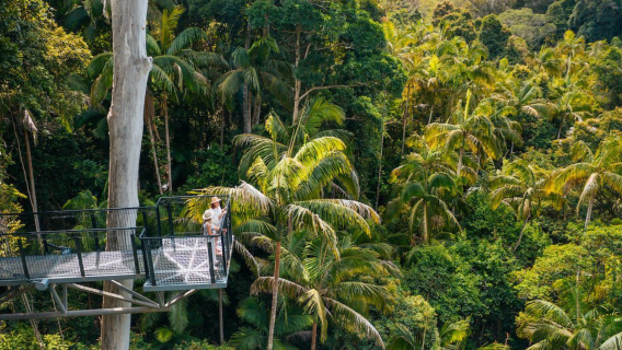 天寶林山一日：瀑布探秘 ＋ 藝術漫步 ＋ 螢火蟲奇遇