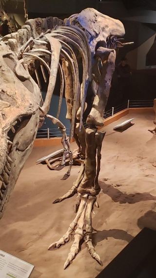ทัวร์ 1 วัน ที่หุบเขาไดโนเสาร์ Drumheller แคนาดา [ทัวร์ภาษาอังกฤษ]