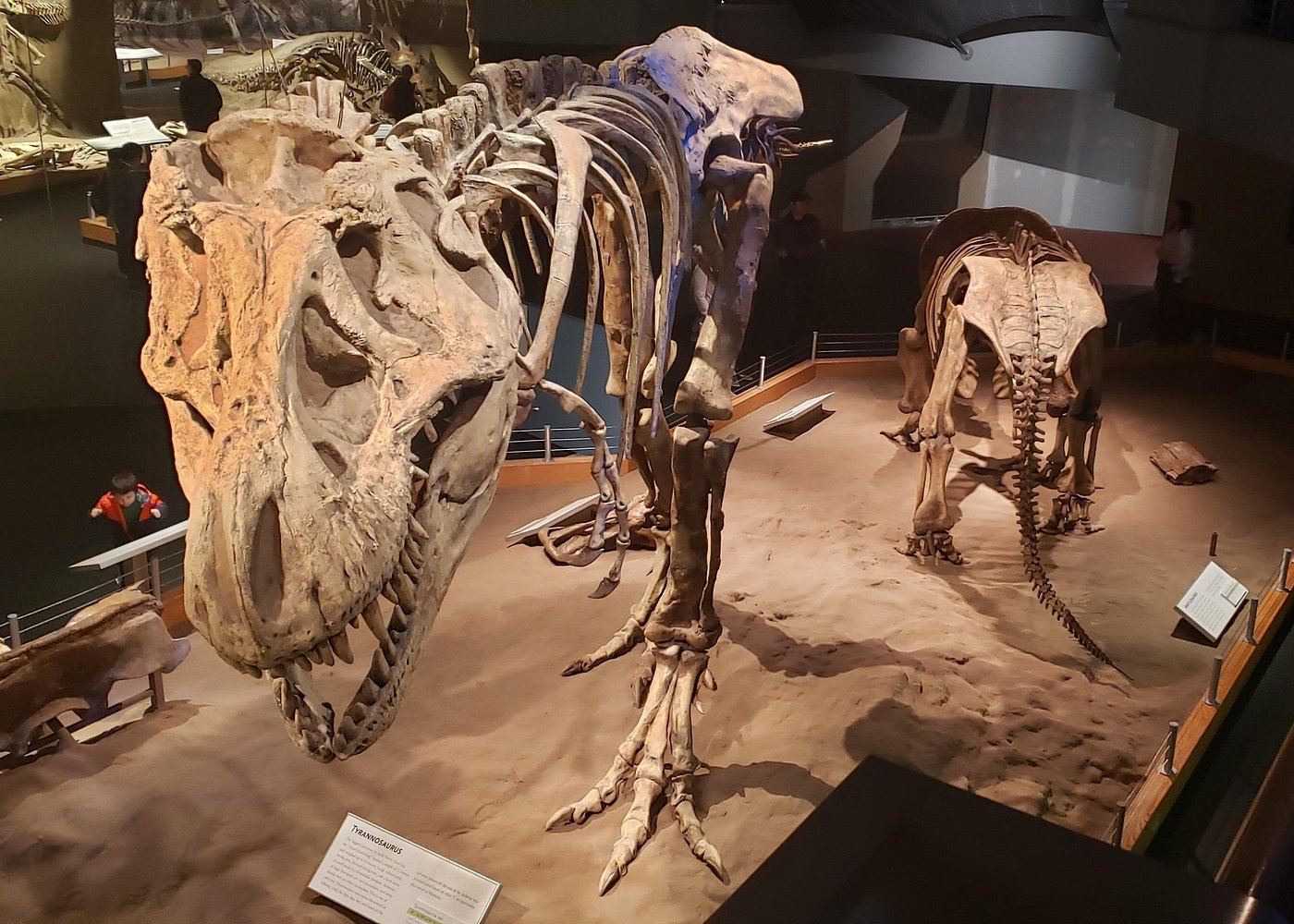 Drumheller Dinosaur Valley Hoodoo 1-day Tour [English Group]