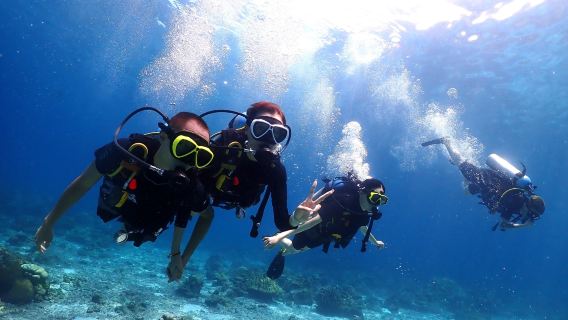Plongée d'une journée à Phuket, Thaïlande : îles Racha Yai et Racha Noi — Expérience de plongée et plongée sous-marine pour débutants 0 expérience | Plongée en bateau professionnelle | Instructeurs certifiés en chinois/anglais
