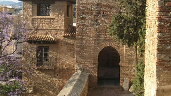 Málaga: Visita guiada a pie + Entrada a la Alcazaba