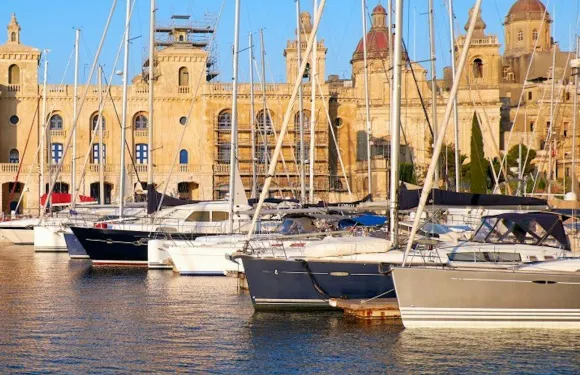 雙港日間郵輪：導覽團