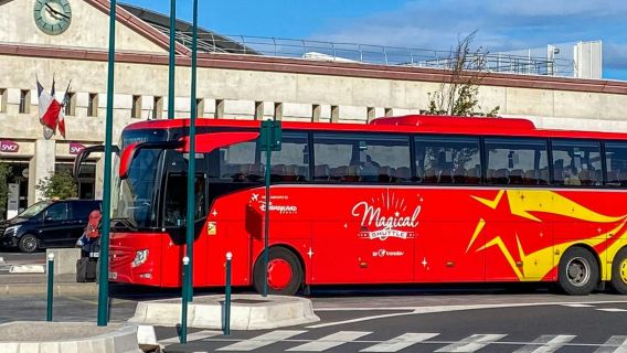 Paris: One-Way Bus Transfer from Charles de Gaulle Airport to Disneyland