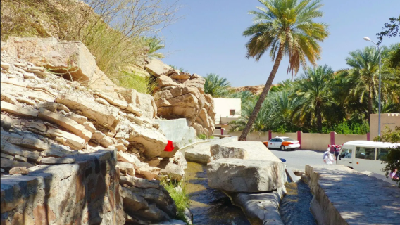 阿曼尼茲瓦｜旅遊陪同翻譯｜展會｜商務考察洽談｜自由行地接｜接機 （可私人定制）