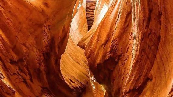 Yan'an Ganquan Canyon 1-day tour [includes admission ticket/transportation/guide + complimentary special lunch]