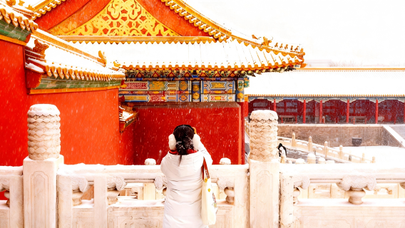 Peking Palastmuseum Halbtagesausflug - Führungen für kleine und große Gruppen, 3-stündige Studienführungen mit englischer und deutscher Führung zur Auswahl