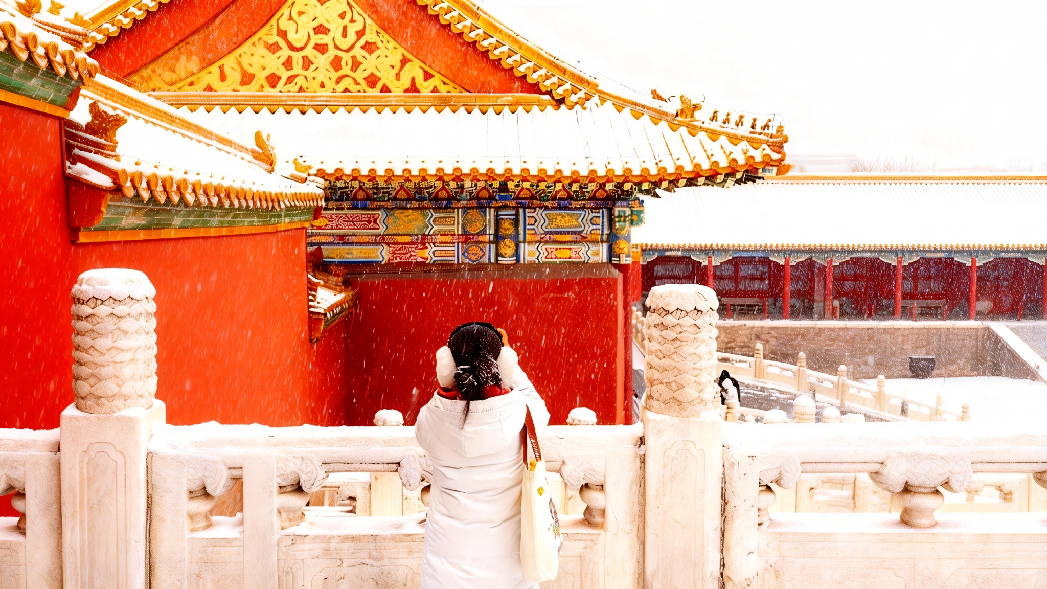 Tour di un giorno al museo del Palazzo di Pechino - Visita guidata di 3 ore per gruppi piccoli e grandi con opzione di spiegazione in cinese o inglese