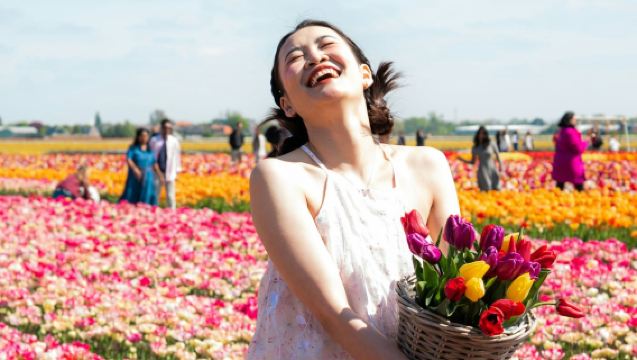 Experiencia de los tulipanes: Excursión de medio día desde Ámsterdam