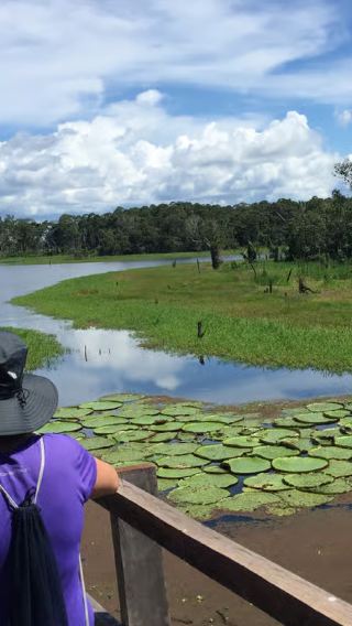 Amazon river tour from Manaus, Brazil - jungle adventure + river confluence + pink dolphins
