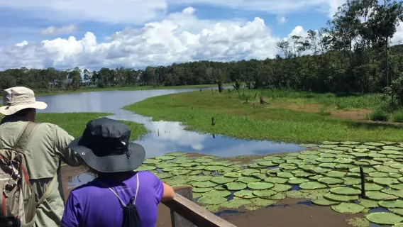 Amazon river tour from Manaus, Brazil - jungle adventure + river confluence + pink dolphins