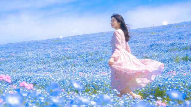 大阪粉蝶花祭勝尾寺世博紀念公園一日遊【含門票可選酒店接載】