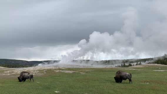 Salt Lake City, Amerika + Taman Negara Yellowstone + Sewaan Peribadi Loop + Kawasan Geyser [Perjalanan Boleh Disesuaikan]