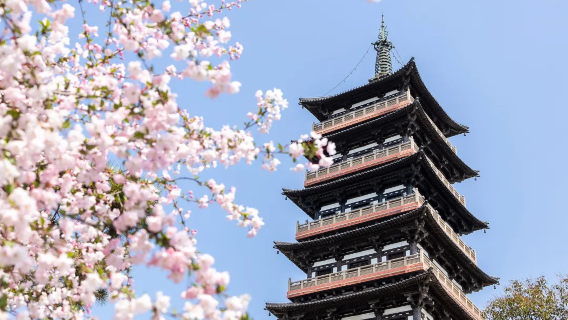 Departing from Nanjing/Yangzhou: China Grand Canal Museum + He Garden + Daming Temple + Slender West Lake cruise