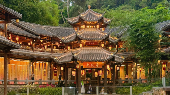 Shenzhen Ping An Finance Centre observation deck + Gankeng Hakka Town + The Twenty-Four Histories Academy | Multilingual guides including Chinese/English | Customized private charter