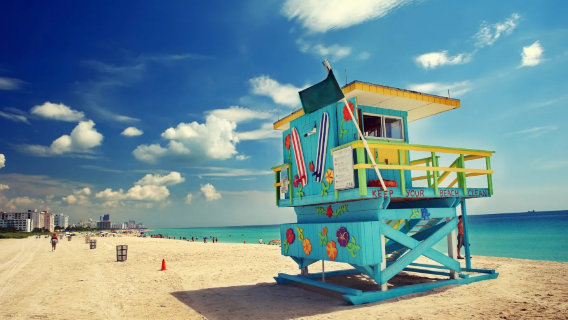 US: Miami botanical garden + Bayfront Park + Calle Ocho Walk of Fame + Miami Beach ※ customizable itinerary