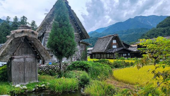 名古屋金澤*白川鄉*高山陣屋-定制中文包車導遊/地陪/翻譯