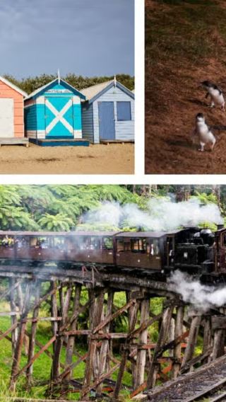 Melbourne: Puffing Billy and Brighton Bathing Boxes tour with penguin parade