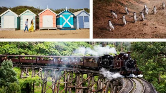 Melbourne: Puffing Billy and Brighton Bathing Boxes tour with penguin parade