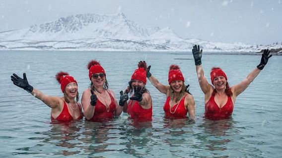 Tromssa: Sommarøyn vuonoretki ja VIP-lohipiknik