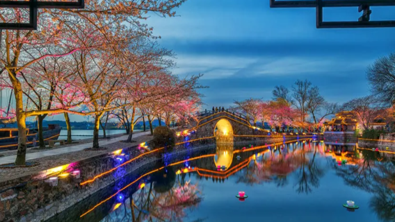 Passeio de um dia com traslado privativo entre cidades saindo de Xangai: Cabeça de Tartaruga em Wuxi + Vila Zen Nianhua com paisagem serena