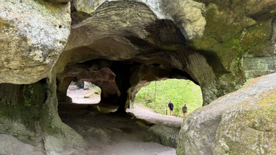 Luxembourg | Hutan batu pasir ngarai semula jadi + bandar lama berusia ribuan tahun [Sewaan peribadi lawatan sehari]