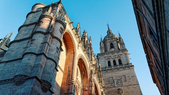 Visita guiada a las Catedrales de Salamanca
