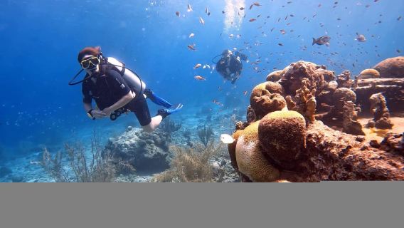 Curacao: Scuba Diving Experience with Instructor