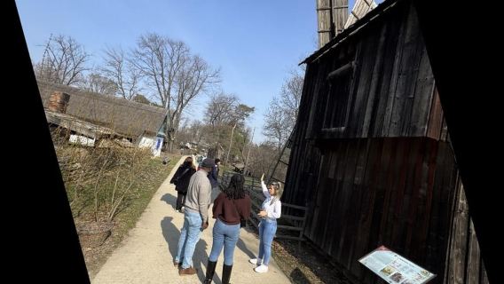 부쿠레슈티: 빌리지 박물관, 차우셰스쿠 저택 & 레이크사이드 투어
