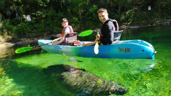 Orlando: Kayaking Tour with Manatee Encounter