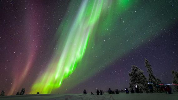 Saariselkä: Hunting Northern Lights by Snowmobiles