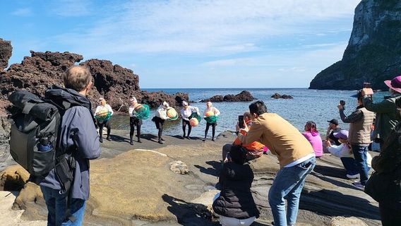 JejuTours