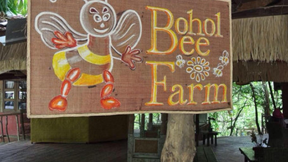 Ladang Lebah Pulau Bohol + lawatan separuh hari melihat kunang-kunang di Pulau Bohol