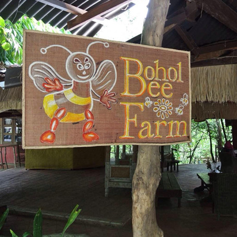 Philippinische Bohol Bee Farm + Halbtagesausflug zur Feuerbeobachtung auf Bohol