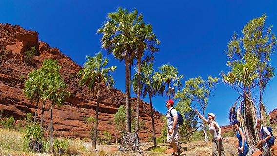 Alice Springs