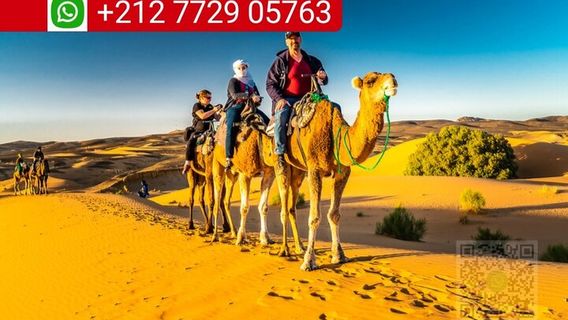 MerzougaTours