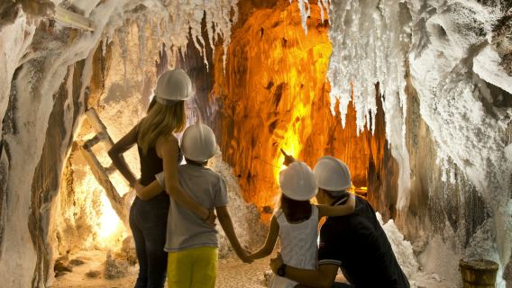 卡多納鹽山：導覽遊